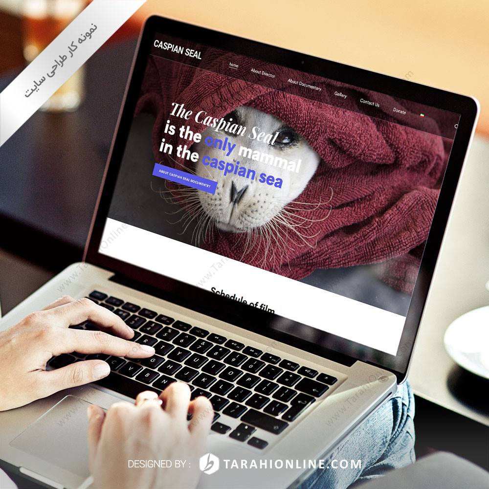 طراحی سایت دو زبانه فوک خزری